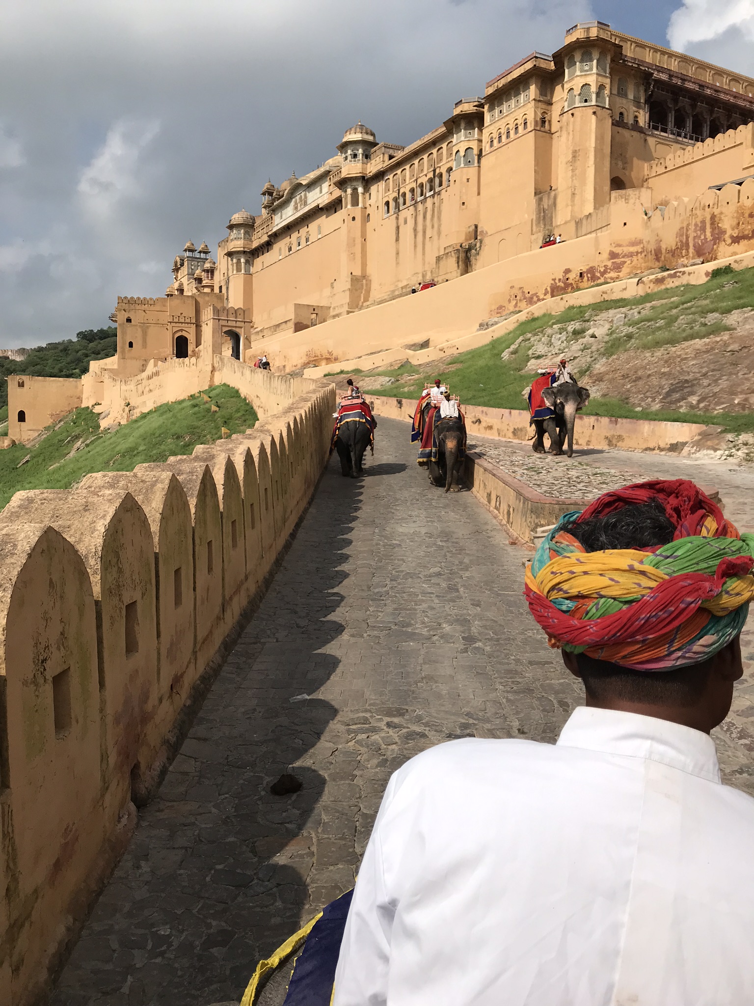 One With Nature: Exploring the Ethics of Animal Tourism